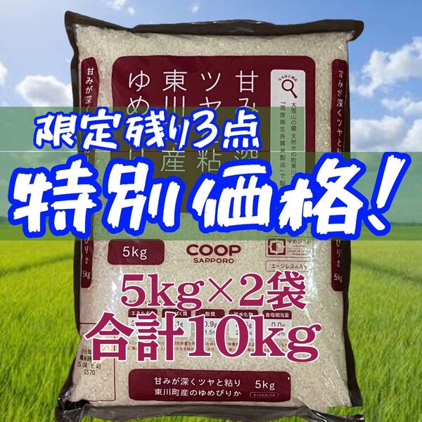 特別価格限定のコラボ3セット!北海道産 令和6年産 東川町 ゆめぴりか エージレス 5kg×2袋 計10kg 白米 ③