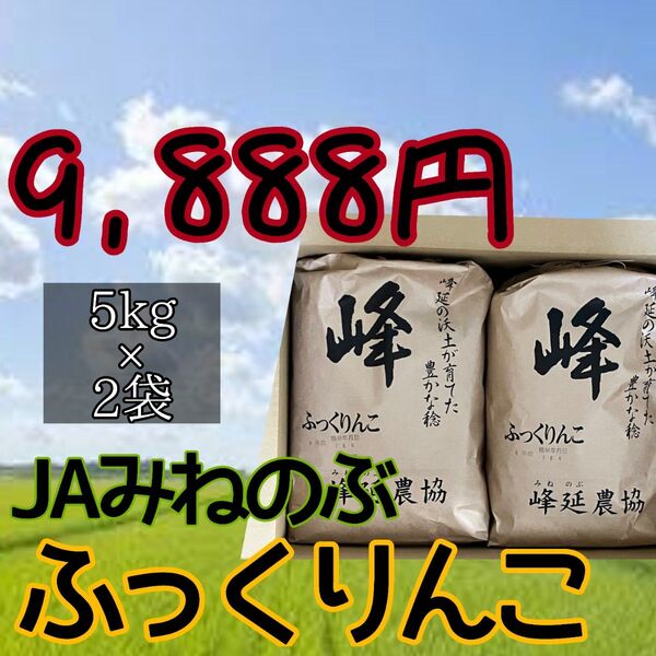 北海道産 令和6年産 ふっくりんこ 5kg×2袋 計10kg 美唄 JAみねのぶ 白米 お米 紙袋 6月6日精米