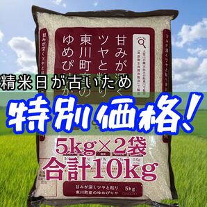 大抽選会対象 北海道産 令和6年産 東川町 ゆめぴりか エージレス 5kg×2袋 計10kg 白米 お米 備蓄 4月精米