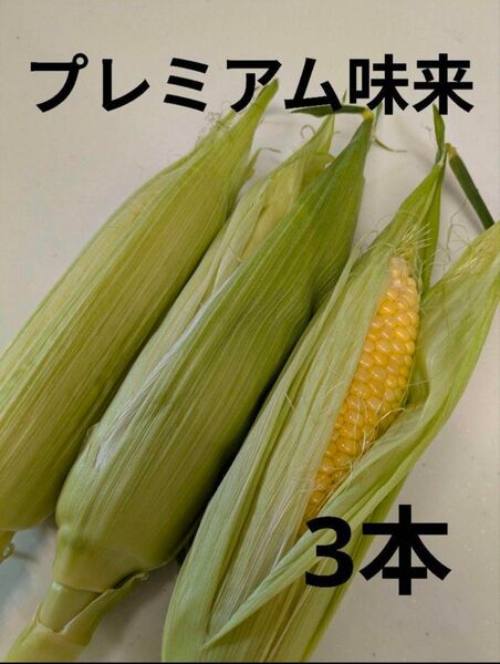 とうもろこし スィートコーン 香川県産 プレミアム味来