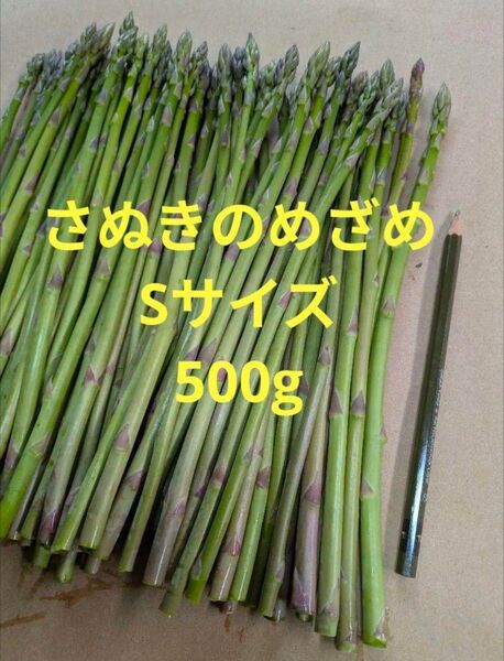 アスパラガス さぬきのめざめ Sサイズ 500g