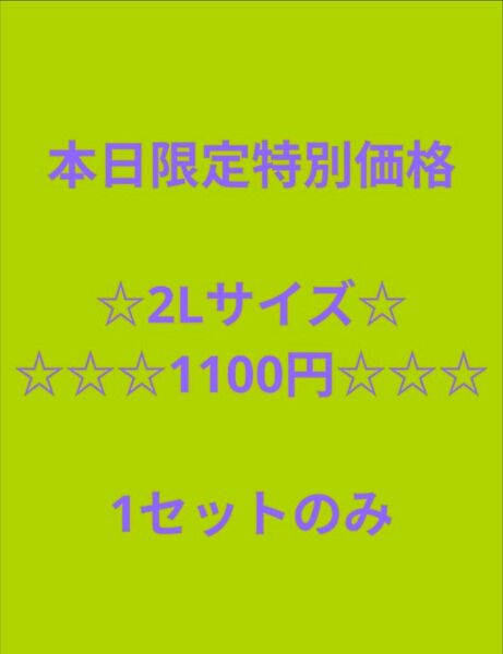 アスパラ さぬきのめざめ 2L 500グラム
