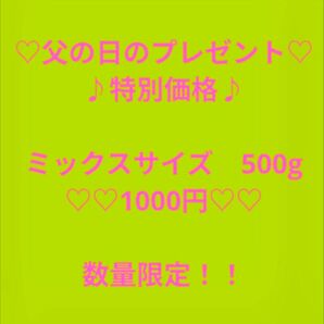 さぬきのめざめ 父の日 特価 アスパラ