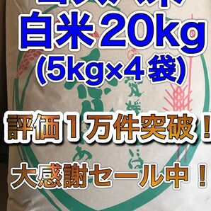 【リピーター様多数!】コスパ米20kg(5kg×4袋)お米 白米【令和6年新米入】
