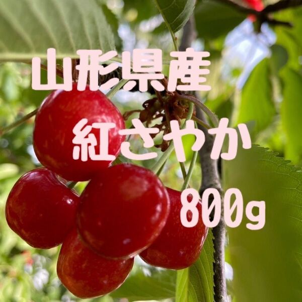 山形県産 紅さやか 800gバラ