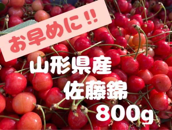 山形県産 佐藤錦 800g家庭用