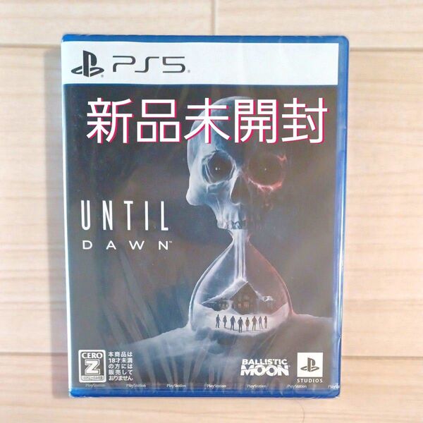 【PS5】 Until Dawn -惨劇の山荘-