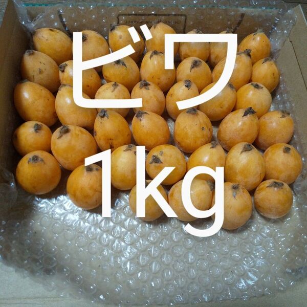 もうすぐ終了 家庭用ビワ 梱包資材込み約1kg 新鮮 農薬不使用
