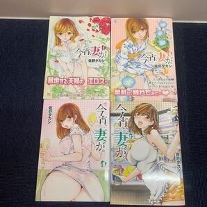 今宵、妻が。 1、6、8、13巻 4冊セット NICHIBUN COMICS 日本文芸社 佐野タカシ 著