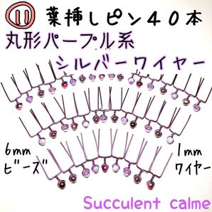 ⑪丸形パープル系★シルバーワイヤー☆葉挿しピン40本 多肉植物 ランナーピン