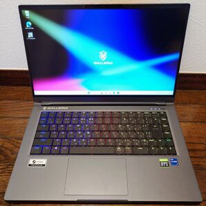 Galleria UL7C-R36 i7 11800H 16GB RTX3060