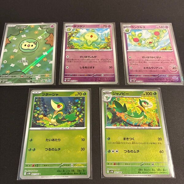 ツタージャ ジャノビー モンボ ユニランAR