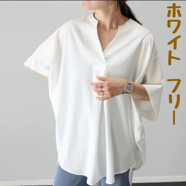 新品 エステルローンスキッパードルマンシャツ ブラウス ホワイト 半袖
