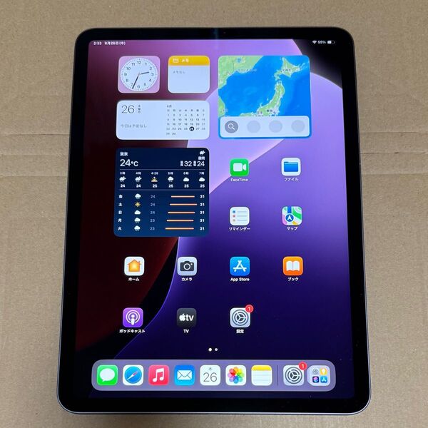 訳あり iPad Pro 11インチ 第1世代 64GB スペースグレイ Wi-Fiモデル MTXN2J/A 中古