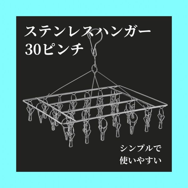ピンチハンガー 洗濯バサミ ステンレス 物干し 30ピンチ 部屋干し 外干し 洗濯用品 洗濯グッズ 物干し 洗濯ばさみ