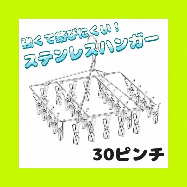 ピンチハンガー 洗濯バサミ ステンレス 物干し 30ピンチ 部屋干し 外干し 洗濯用品 洗濯グッズ 物干し 洗濯ばさみ
