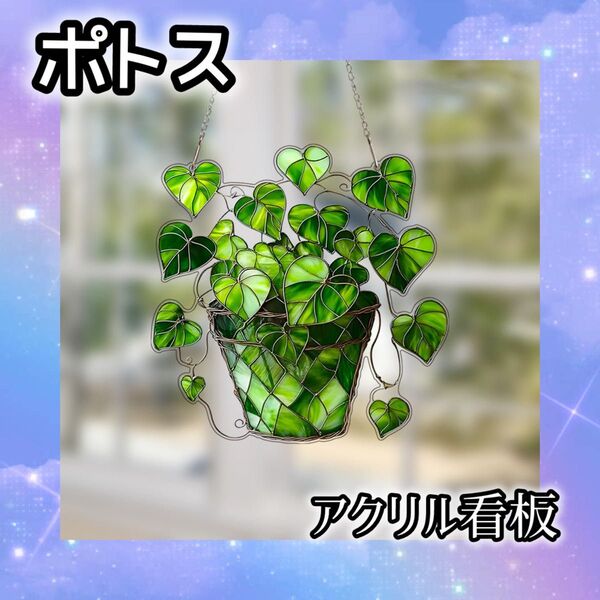 サンキャッチャー アクリル板 ポトス インテリア 壁掛け 観葉植物 緑 飾り 玄関 入り口 ステンドグラス風 おしゃれ 癒し