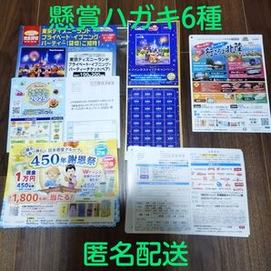 懸賞応募 【カルビー】ほか 応募ハガキいろいろ 6種38枚 キャンペーン ディズニー クローズド プリマハム 現金 お米