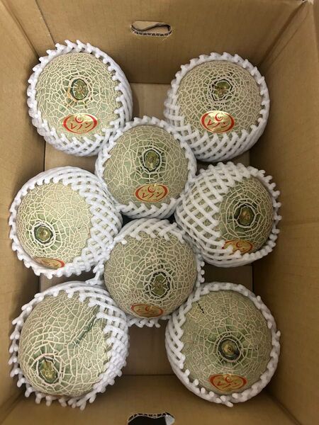 産地直送!赤肉レノンメロン!8玉入り箱込み 4.5キロ