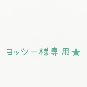 ヨッシー様専用★A837 天然石 チャームセット ハンドメイド 在庫大売出し ピアス素材