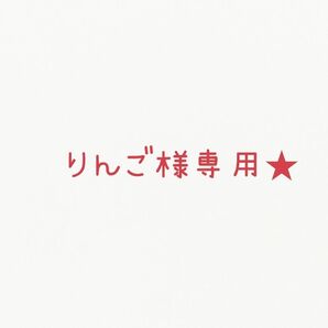 りんご様専用★A850 天然石 チャームセット ハンドメイド 在庫大売出し ピアス素材