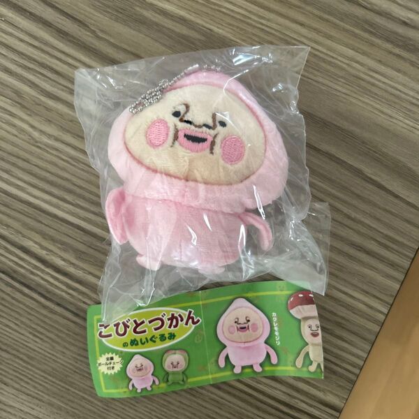 こびとづかんのぬいぐるみ カクレモモジリ