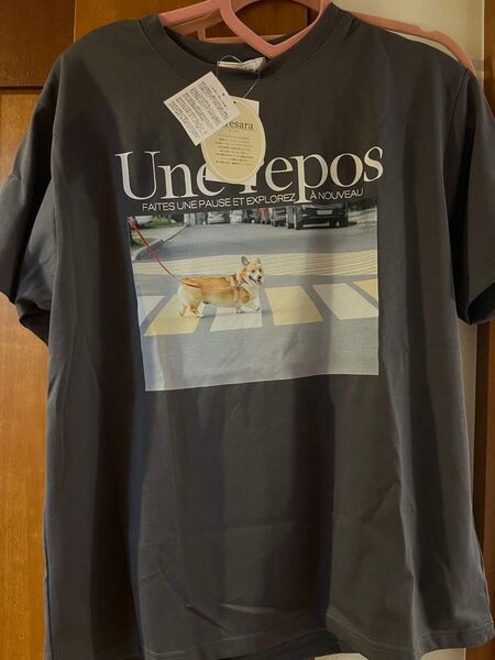 コーギー Tシャツ 新品
