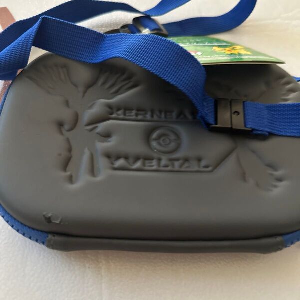 ポケモンセンターわくわくゲットくじ 2014 F賞 マルチケース