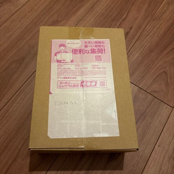 テラスタルフェスex 1BOX ダンボールそのまま