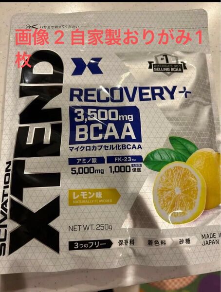 エクステンド リカバリープラス レモン味 自家製おりがみ1枚