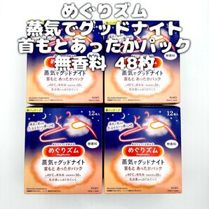 【M様/ご予約済み】花王 めぐりズム 蒸気でグッドナイト 首もとあったかパック 無香料 48枚