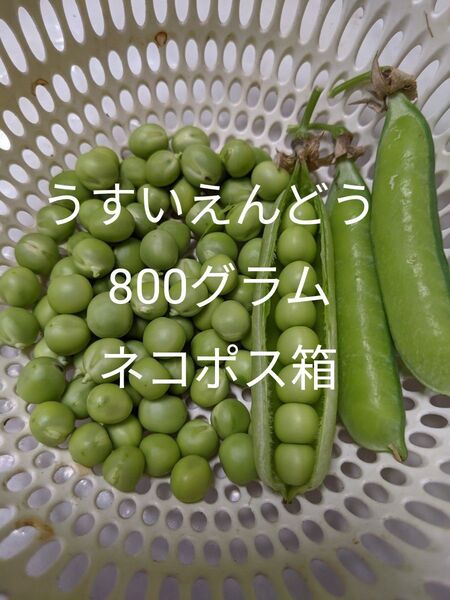 1.岡山県産 うすいえんどう 800グラム ネコポス箱