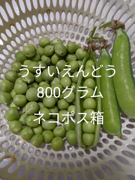 3.岡山県産 うすいえんどう 800グラム ネコポス箱