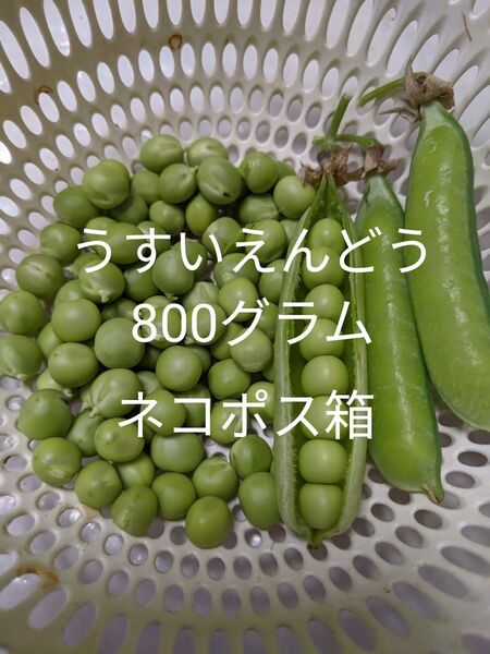 5.岡山県産 うすいえんどう 800グラム ネコポス箱