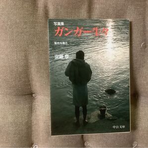 ガンガー生々 安藤亨 中公文庫