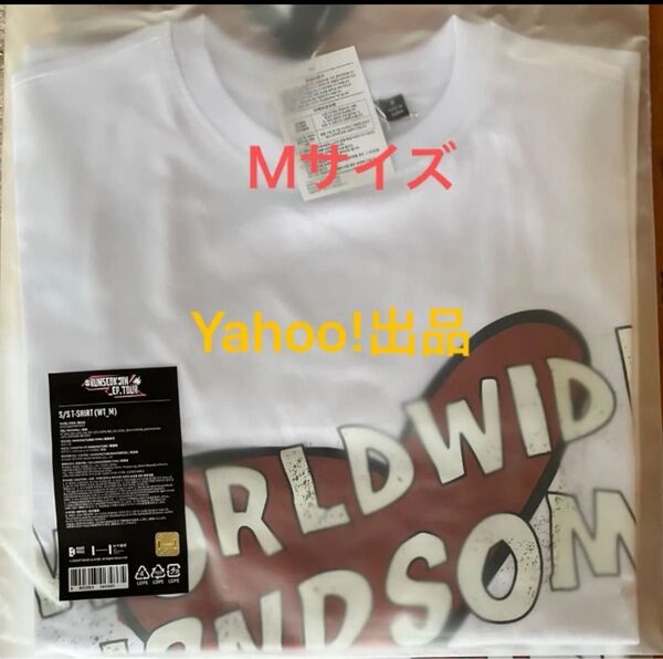防弾少年団 BTS ジン #RUNSEOKJIN_EP.TOUR GOYANG S/S T-SHIRT Tシャツ WHITE M
