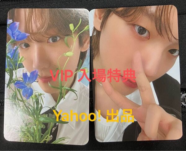 EXO ベッキョン BAEKHYUN WORLD TOUR Reverie ソウル 入場特典 フォトカード トレカ 2種