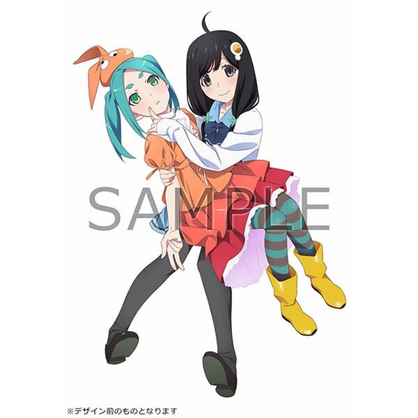 物語シリーズ オフ&モンスターシーズン ソフマップ全巻連続購入特典 描き下ろしB2タペストリー
