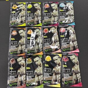 激安 ビーレジェンド プロテイン 12種類セット