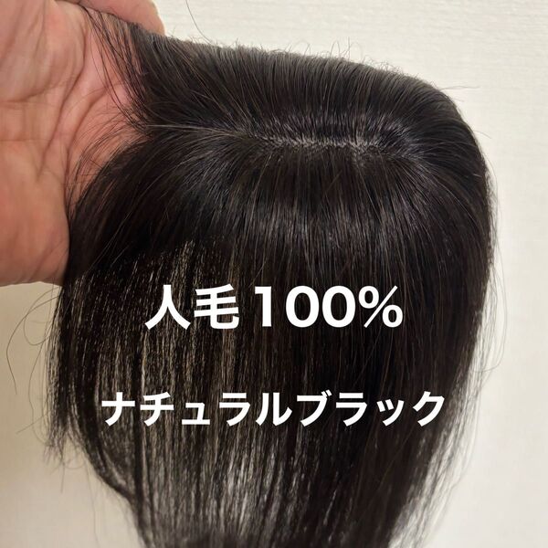 人毛ショートウィッグ ヘアピース トップピース 部分ウィッグ 頭頂部ウィッグ