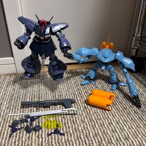 HG ハイゴック & HG ドライセン 組立品