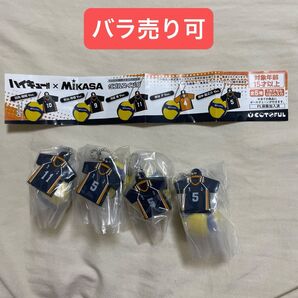 ハイキュー!! × MIKASA ダブルスイング 月島蛍 田中龍之介