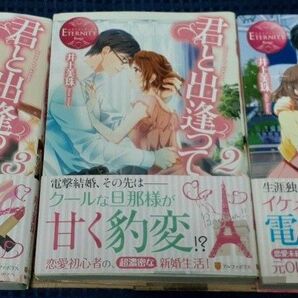 TL小説 3冊セット Eternity アルファポリス 携帯小説