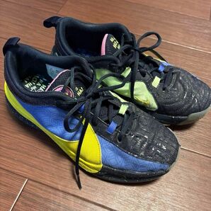 【24cm】NIKE Freak5 バッシュ ナイキ