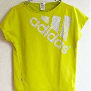 adidas アディダス Tシャツ CLIMALITE イエロー系 Mサイズ