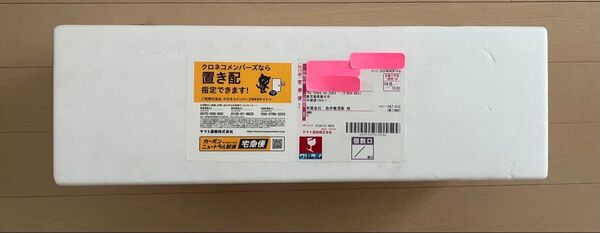 ★6月16日到着分★ 森伊蔵 1800ml 新品 芋焼酎 プレミアム焼酎