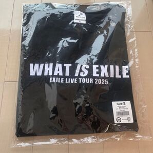 WHAT IS EXILE テイシャツ