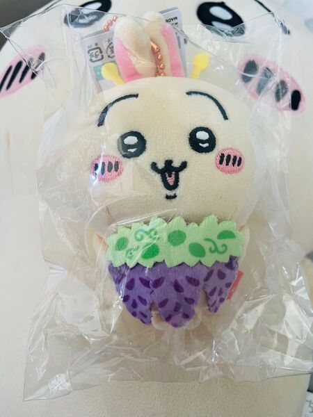 うさぎ ちいかわ 足利フラワーパーク限定 藤の花うさぎ新品未開封 オフィシャル 地域限定 栃木