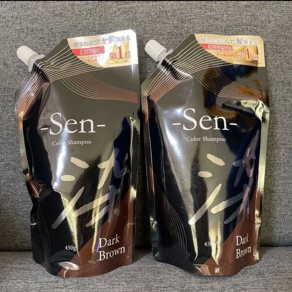 ピコモンテ 2点セット sen 染 セン カラーシャンプー ダークブラウン