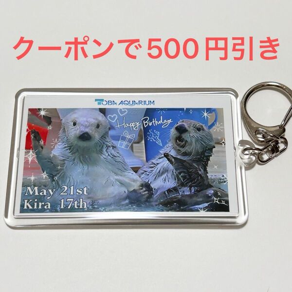 鳥羽水族館 ラッコ メイちゃん キラちゃん メイキラ キーホルダー 実写 グッズ